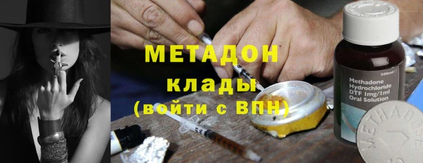 прущие грибы Алзамай