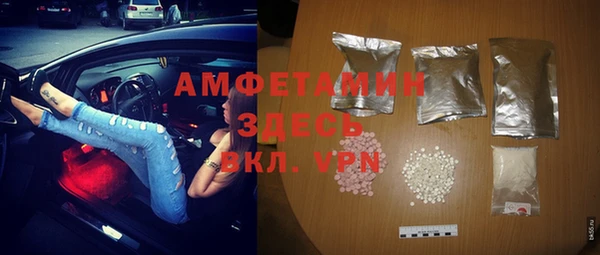 прущие грибы Алзамай