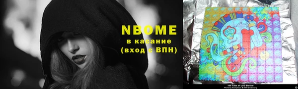 прущие грибы Алзамай