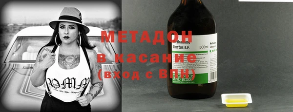 прущие грибы Алзамай