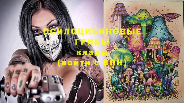 твердый Алексеевка