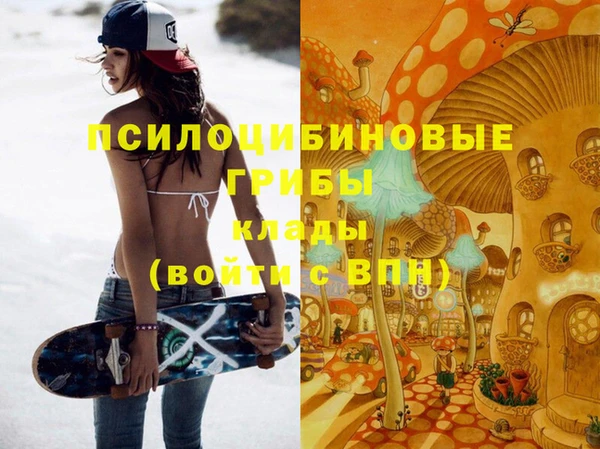твердый Алексеевка