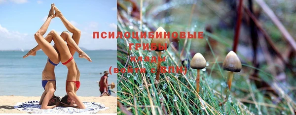 твердый Алексеевка