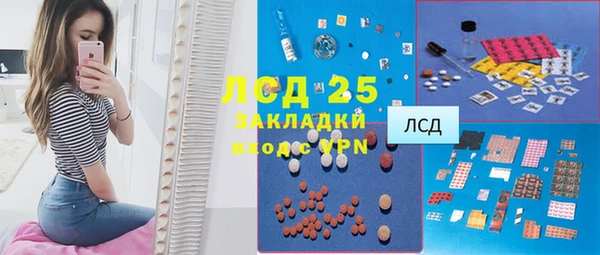 ГАЛЛЮЦИНОГЕННЫЕ ГРИБЫ Алексин
