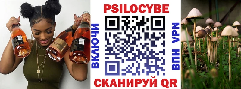 mega маркетплейс  Аркадак  Псилоцибиновые грибы Cubensis 